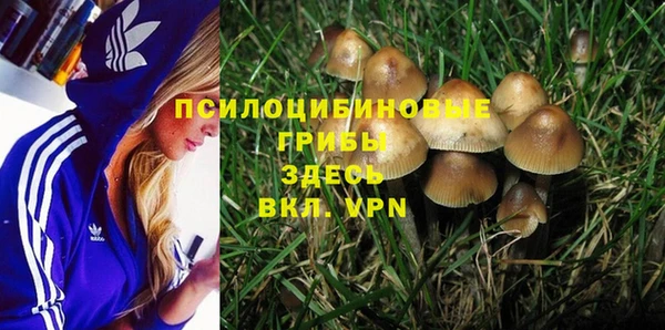 мескалин Нефтекумск